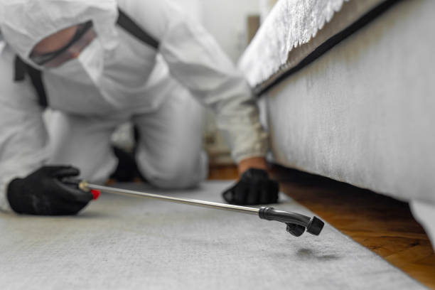 Professional Cockroach Control technician working in Glasgow, MO