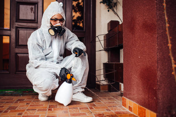 Reliable Cockroach Control contractor in Glasgow, MO by Nex Pest Control